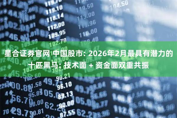 星合证券官网 中国股市: 2026年2月最具有潜力的十匹黑马: 技术面 + 资金面双重共振