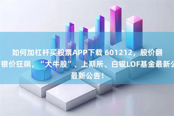 如何加杠杆买股票APP下载 601212，股价翻倍！银价狂飙，“大牛股”、上期所、白银LOF基金最新公告！