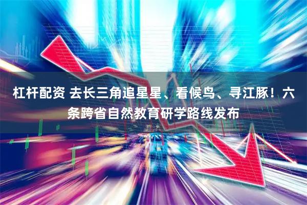 杠杆配资 去长三角追星星、看候鸟、寻江豚！六条跨省自然教育研学路线发布